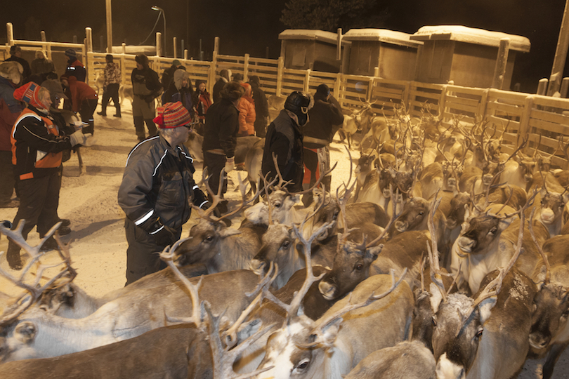 sami_culture_in_inari
