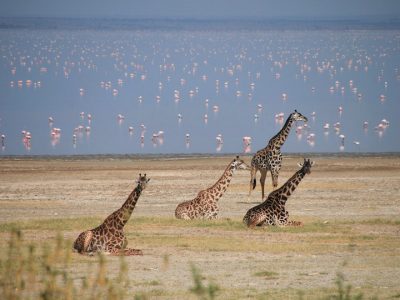 lake_manyara